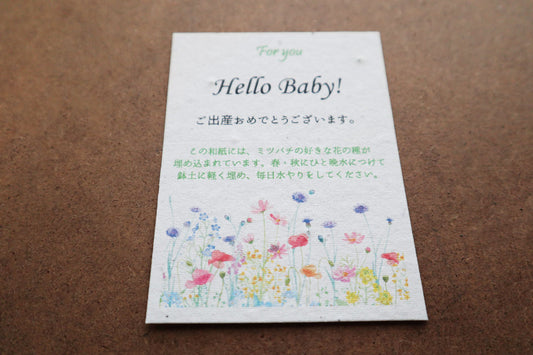 花咲くメッセージカード（種入り）　Hello Baby