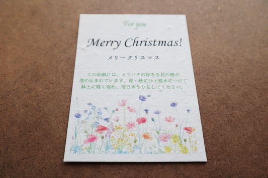 花咲くメッセージカード（種入り）　Merry Christmas