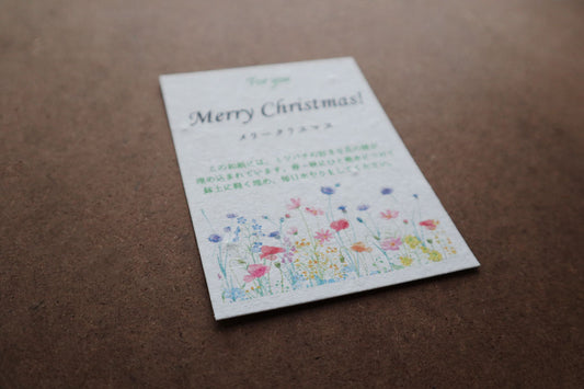花咲くメッセージカード（種入り）　Merry Christmas